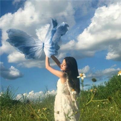盗贼泰瑞莎