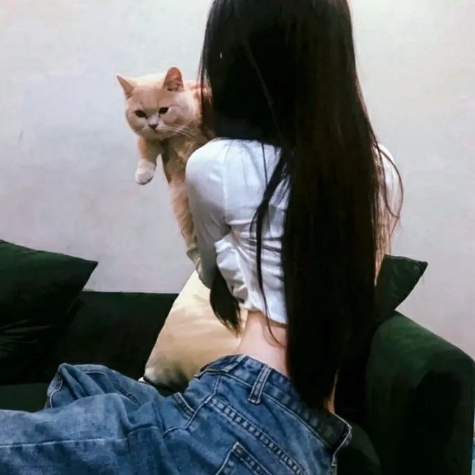 越光宝盒